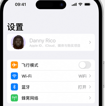 罗平appleID维修服务iPhone设置中Apple ID显示为灰色无法使用