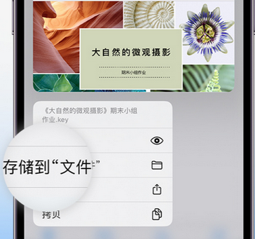 罗平apple维修中心分享iPhone文件应用中存储和找到下载文件