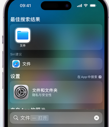 罗平apple维修中心分享iPhone文件应用中存储和找到下载文件