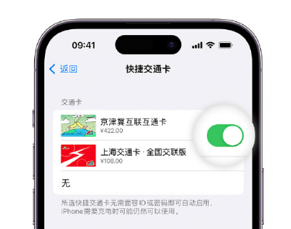 罗平apple维修点分享iPhone上更换Apple Pay快捷交通卡手绘卡面 