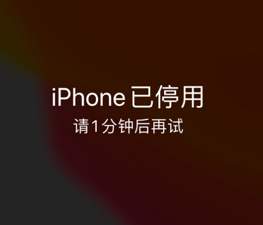 罗平苹果手机维修分享:iPhone 显示“不可用”或“已停用”怎么办？还能保留数据吗？ 