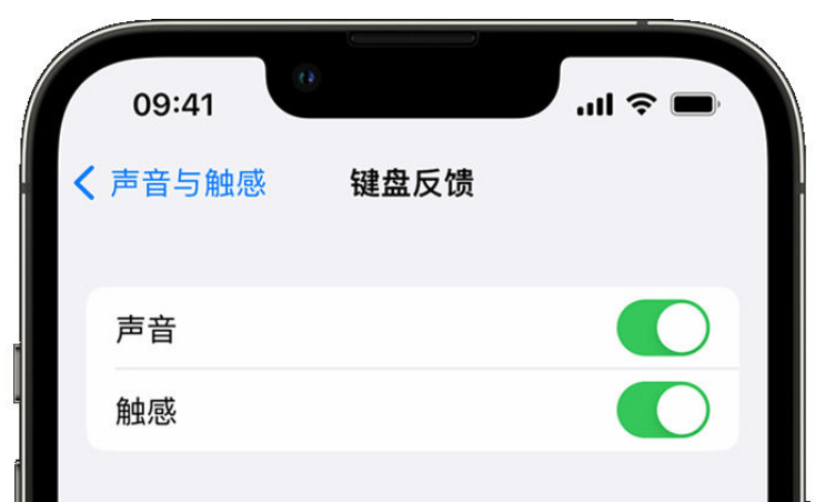 罗平苹果手机维修分享iPhone 14触感键盘使用方法 