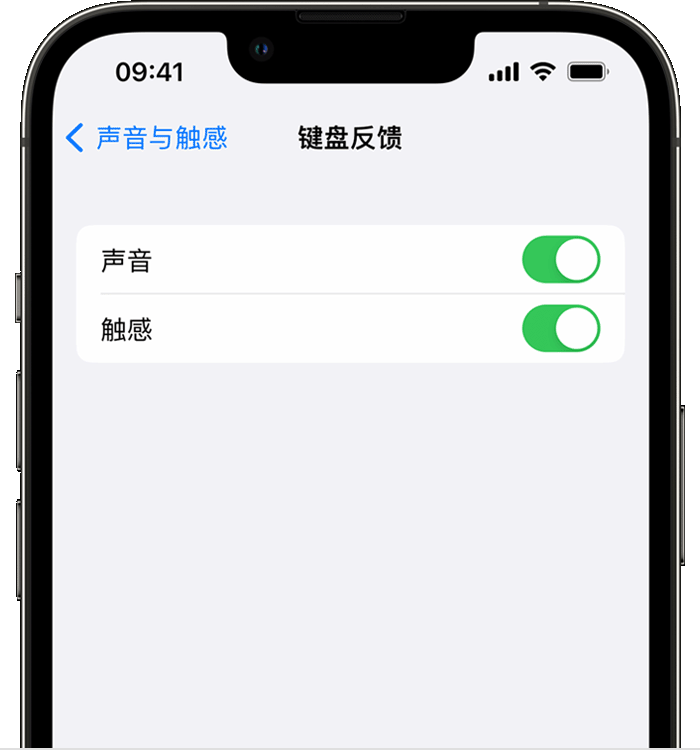 罗平苹果14维修店分享如何在 iPhone 14 机型中使用触感键盘 