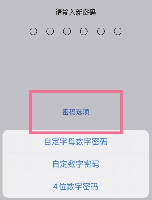 罗平苹果14维修分享iPhone 14plus设置密码的方法 