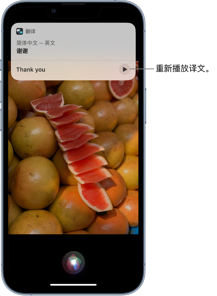 罗平苹果14维修分享 iPhone 14 机型中使用 Siri：了解 Siri 能帮你做什么 