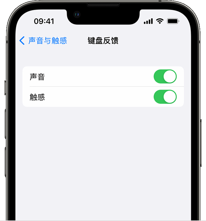 罗平苹果14维修分享iPhone 14 系列机型如何开启键盘声音或触感反馈 