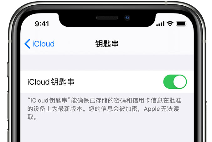 罗平苹果手机维修分享在 iPhone 上开启 iCloud 钥匙串之后会储存哪些信息 