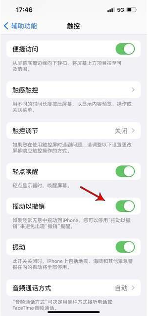 罗平苹果手机维修分享iPhone手机如何设置摇一摇删除文字 