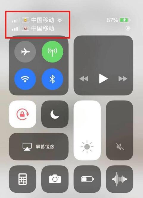罗平苹果手机维修分享为 iPhone 12 双卡设置标签 